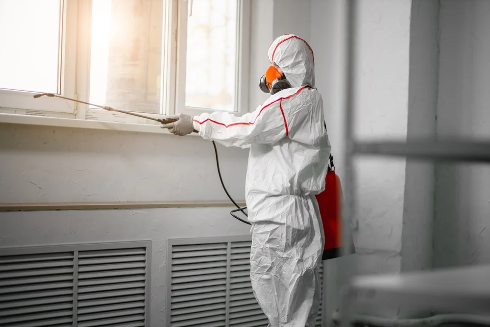 Professional mold remediation services in Galena, OH